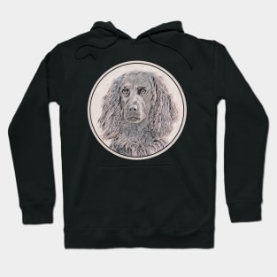 Boykin Spaniel Hoodie